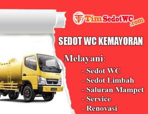 SEDOT WC KEMAYORAN