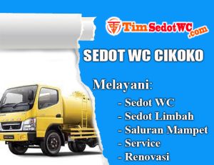 sedot wc cikoko