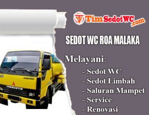 sedot wc roa malaka